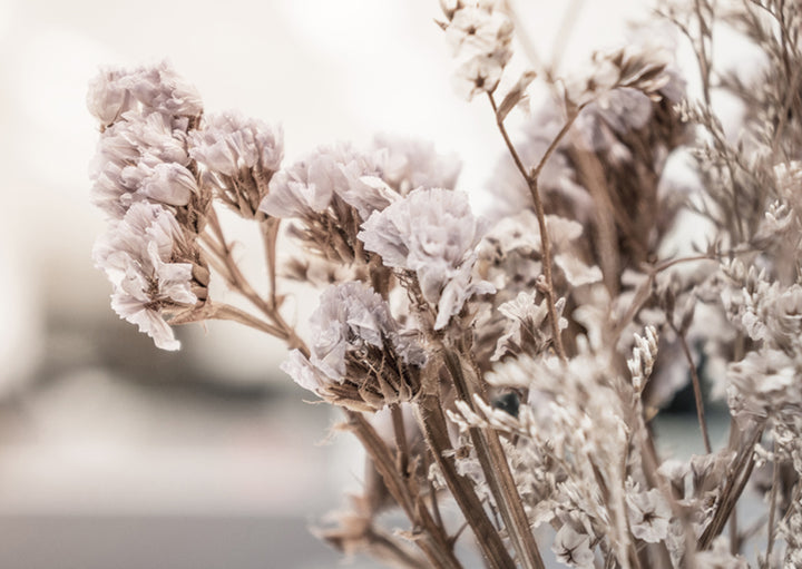 Poster - Dry purple flower