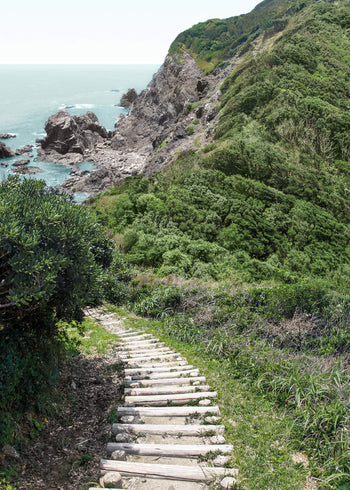 Ljuddämpande tavla - Road to sea