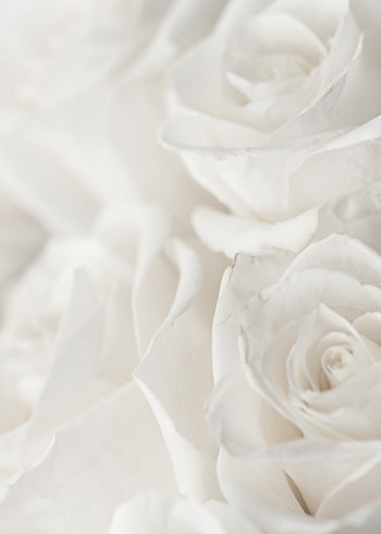 Canvastavla - Charming Roses (50x70)