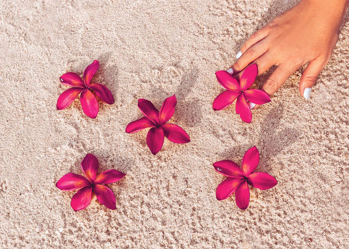 Canvastavla - Red Flowers on Sand