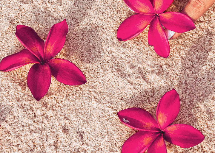 Canvastavla - Red Flowers on Sand
