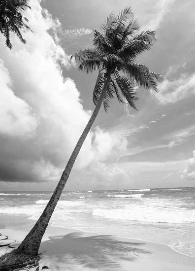 Poster - Seafront
